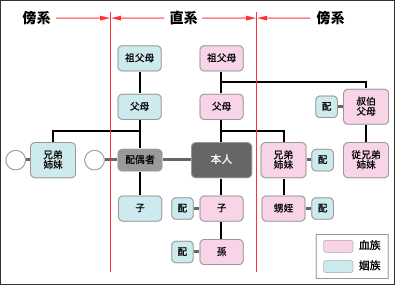 直系と傍系、血族と姻族の関係図